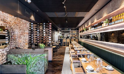 Pulvinar vivamus fringilla lacus nec metus bibendum egestas